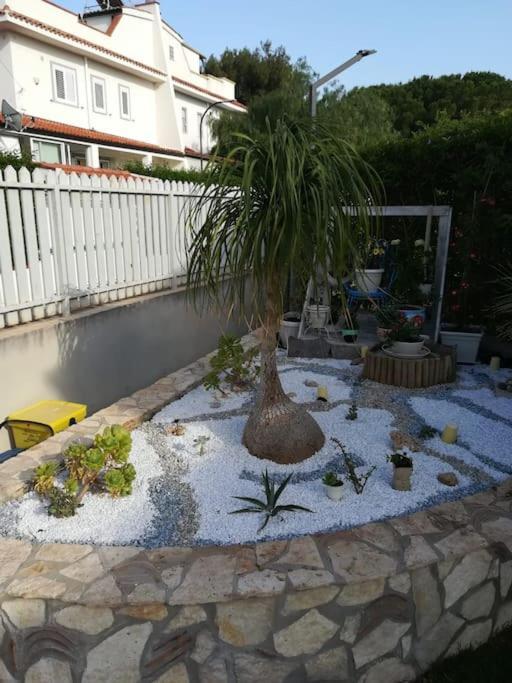 Villa Eco-Chic Carini Extérieur photo
